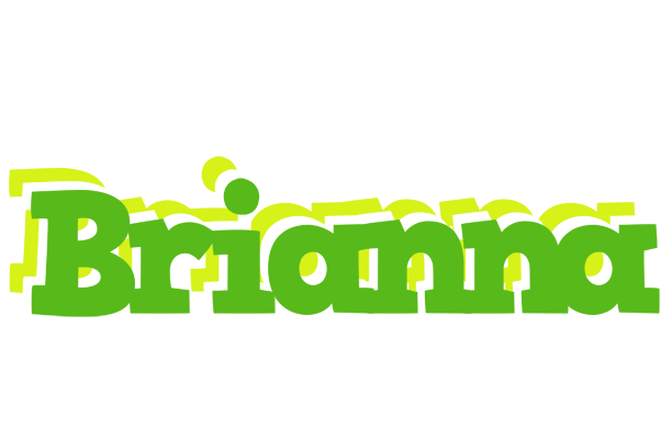Brianna picnic logo