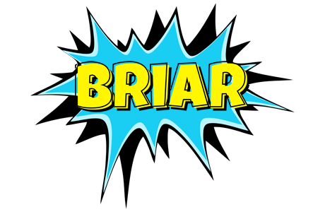 Briar amazing logo