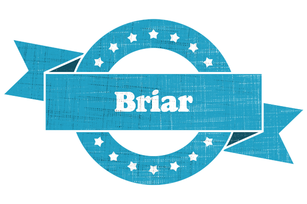Briar balance logo