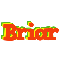 Briar bbq logo