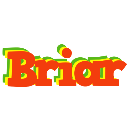 Briar bbq logo