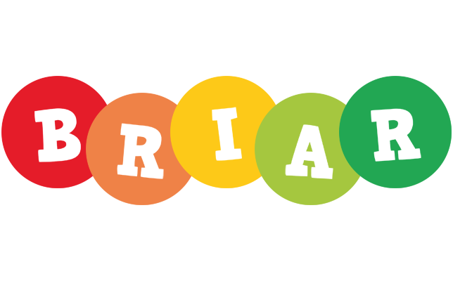 Briar boogie logo