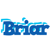 Briar business logo