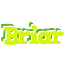 Briar citrus logo