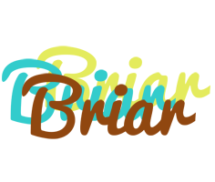 Briar cupcake logo