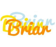 Briar energy logo