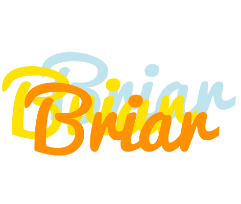 Briar energy logo