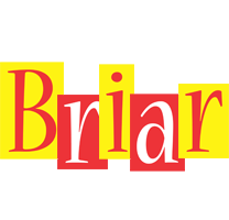 Briar errors logo