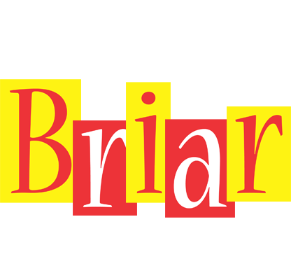 Briar errors logo