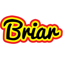 Briar flaming logo