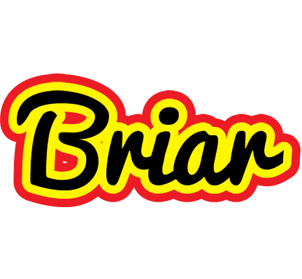 Briar flaming logo