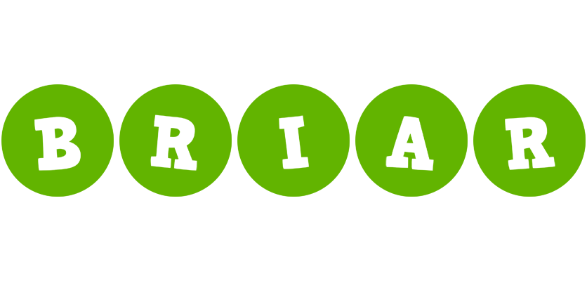 Briar games logo