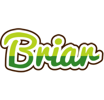 Briar golfing logo