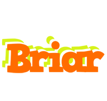 Briar healthy logo