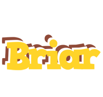 Briar hotcup logo