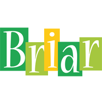 Briar lemonade logo