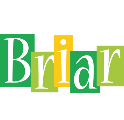 Briar lemonade logo