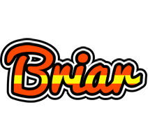 Briar madrid logo