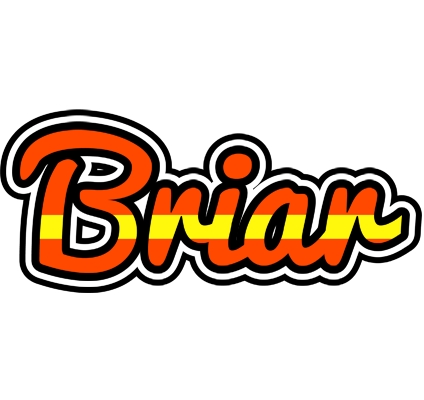 Briar madrid logo