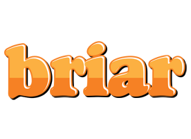 Briar orange logo