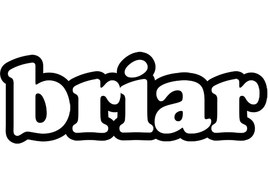 Briar panda logo