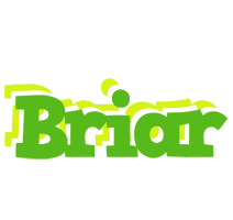 Briar picnic logo