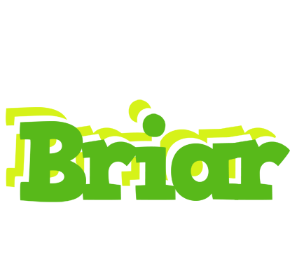 Briar picnic logo