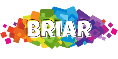 Briar pixels logo