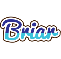 Briar raining logo