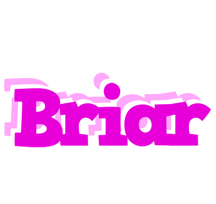 Briar rumba logo