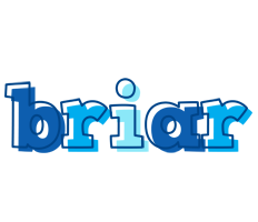 Briar sailor logo