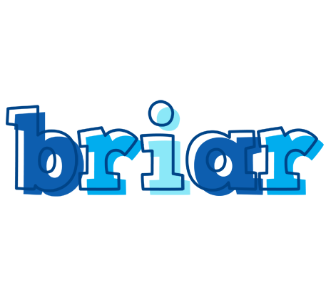 Briar sailor logo