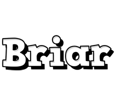 Briar snowing logo