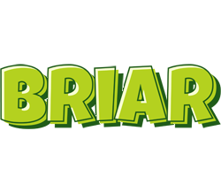 Briar summer logo