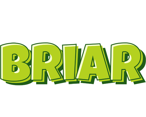 Briar summer logo