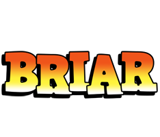 Briar sunset logo