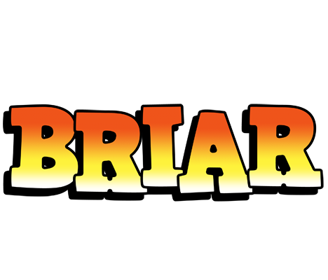 Briar sunset logo