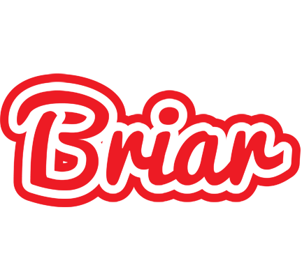 Briar sunshine logo