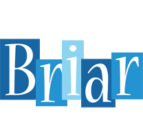 Briar winter logo