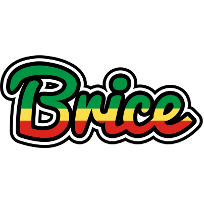 Brice african logo