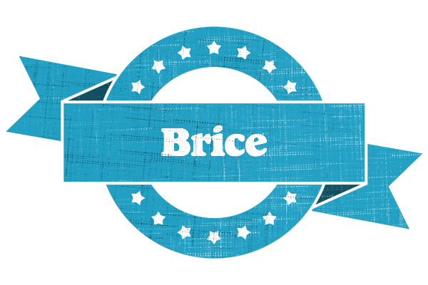 Brice balance logo