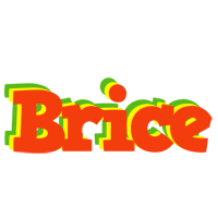 Brice bbq logo