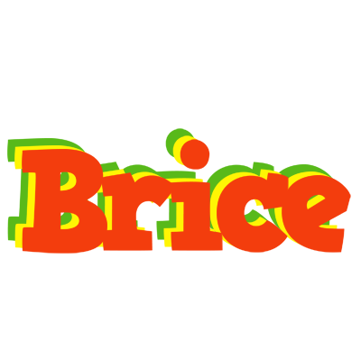 Brice bbq logo
