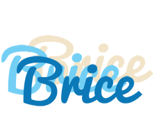 Brice breeze logo