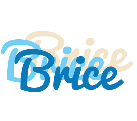 Brice breeze logo