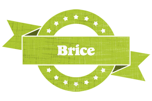 Brice change logo