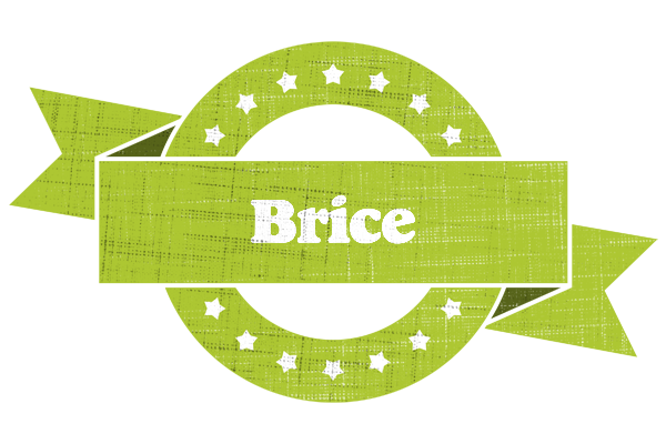 Brice change logo