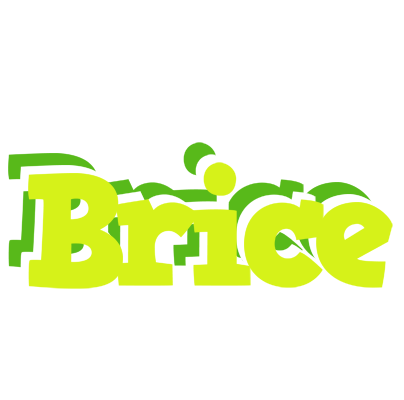 Brice citrus logo