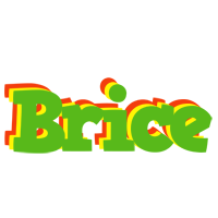 Brice crocodile logo