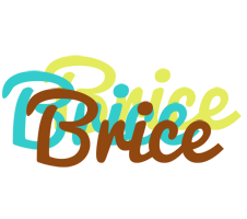 Brice cupcake logo